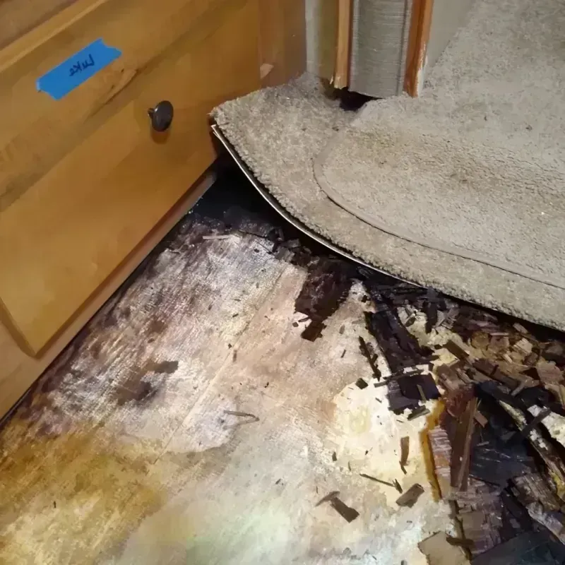 Wood Floor Water Damage in Star Valley, AZ